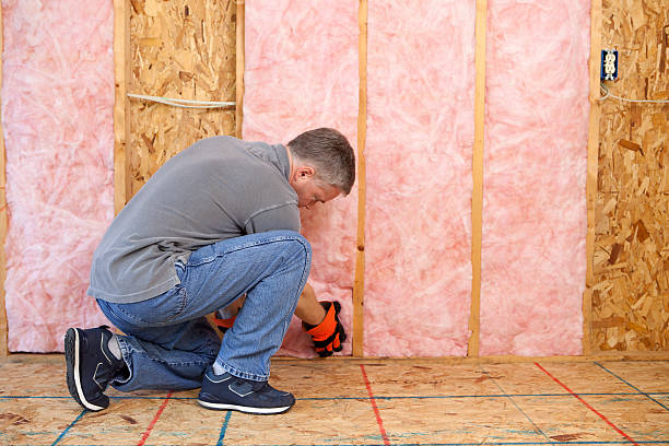 Professional Insulation Contractor in IL