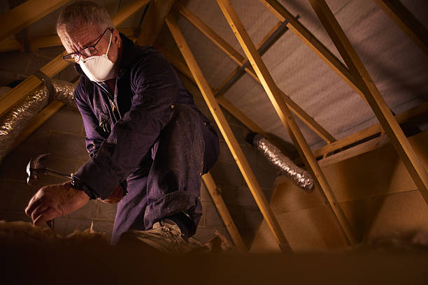 Best Types of Insulation in Poplar Grove, IL