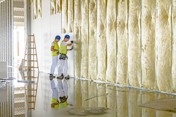 Best Types of Insulation in Poplar Grove, IL